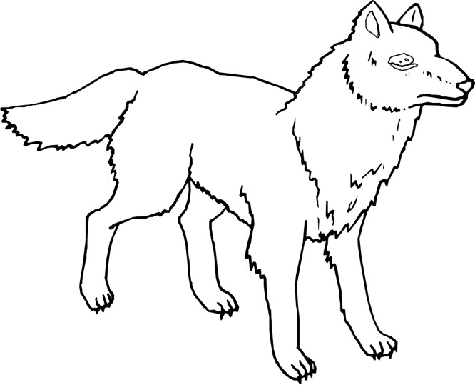Lobo #6167