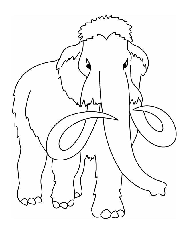 Mamut #6190