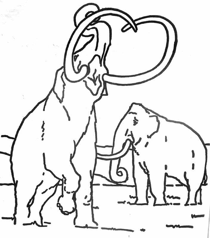 Mamut #6194