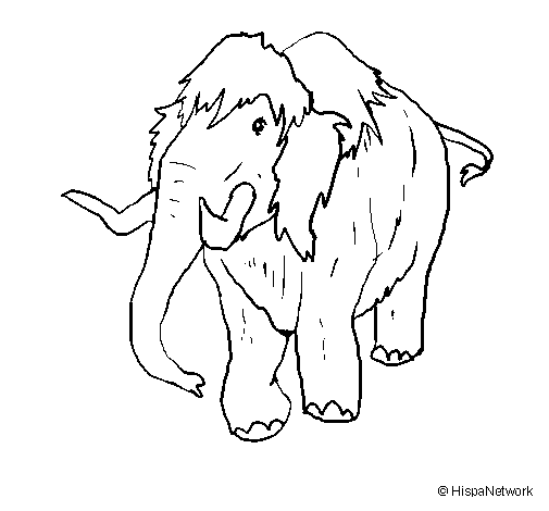 Mamut #6197