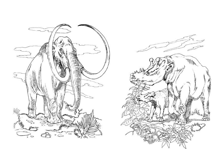 Mamut #6198