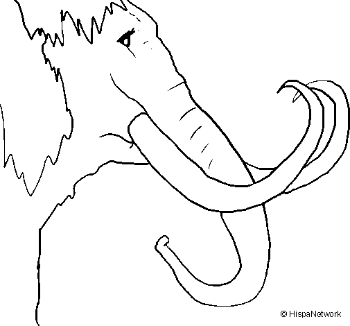 Mamut #6200