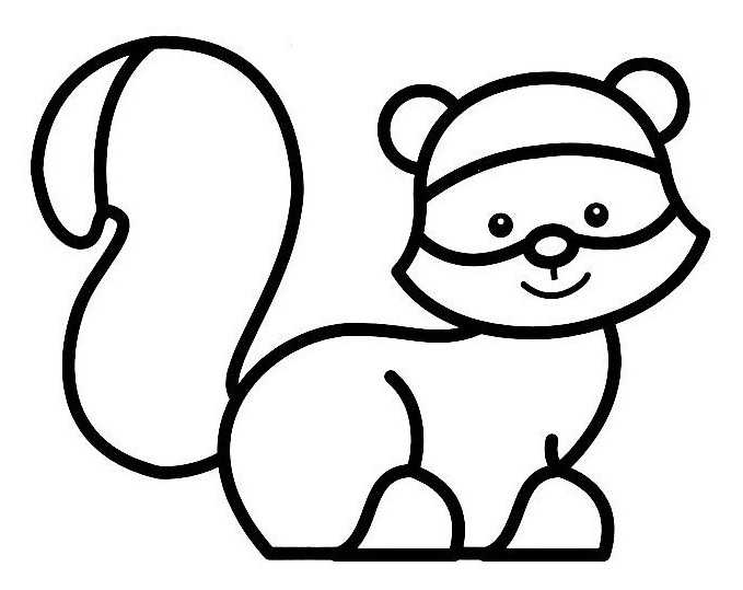 Mapache #6206