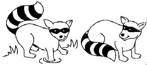 Mapache #6210