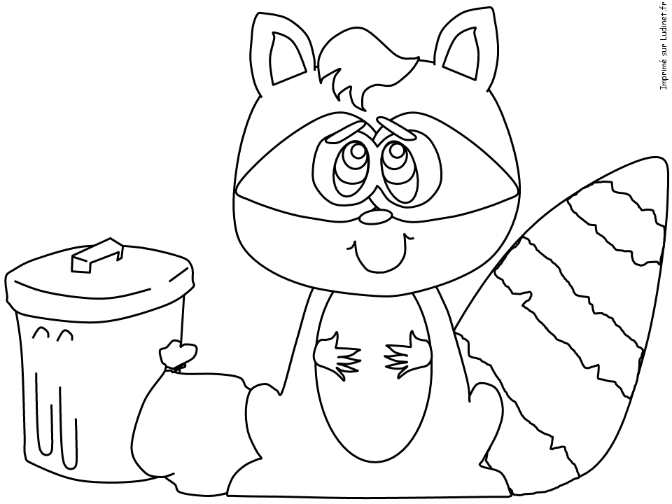 Mapache #6232