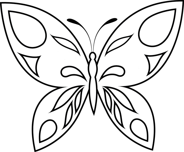 Mariposa #6237