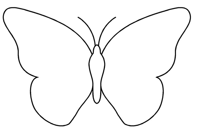 Mariposa #6239
