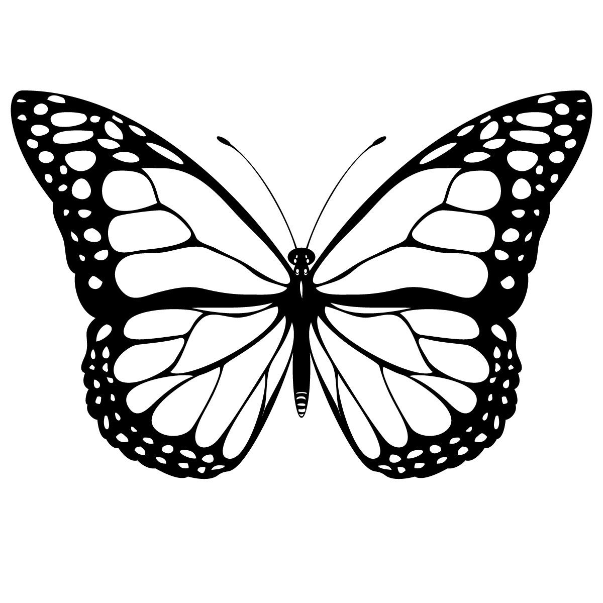 Mariposa #6241