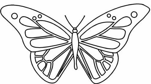 Mariposa #6242