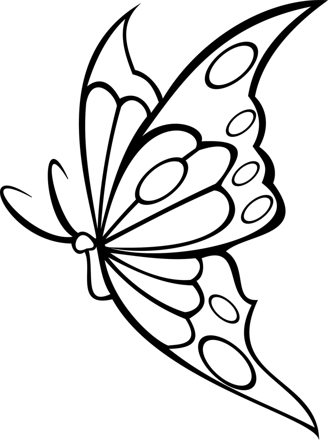 Mariposa #6243