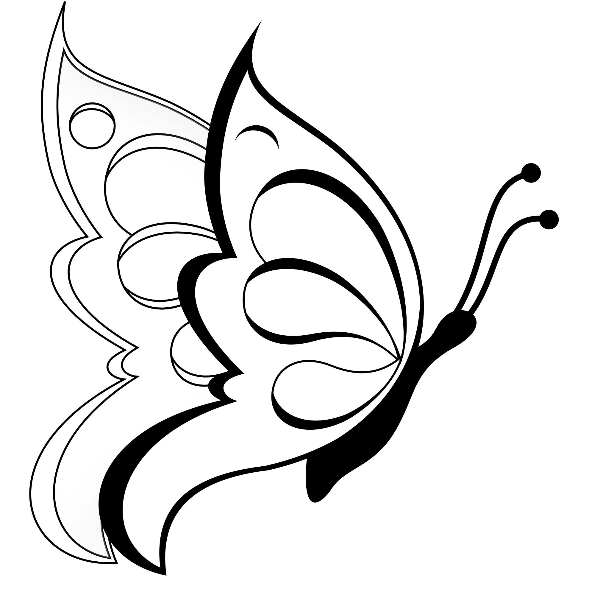Mariposa #6246