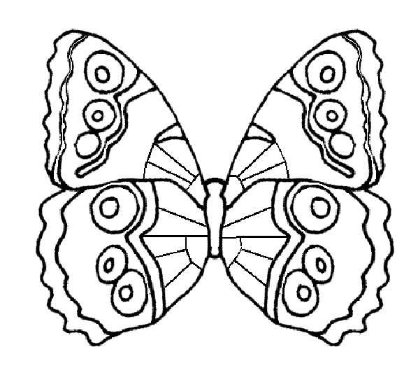 Mariposa #6247