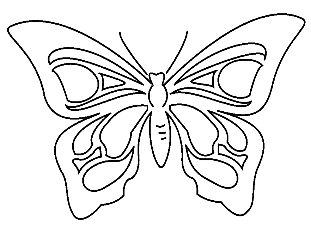Mariposa #6250