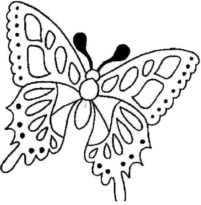 Mariposa #6254