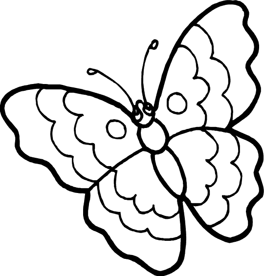 Mariposa #6255