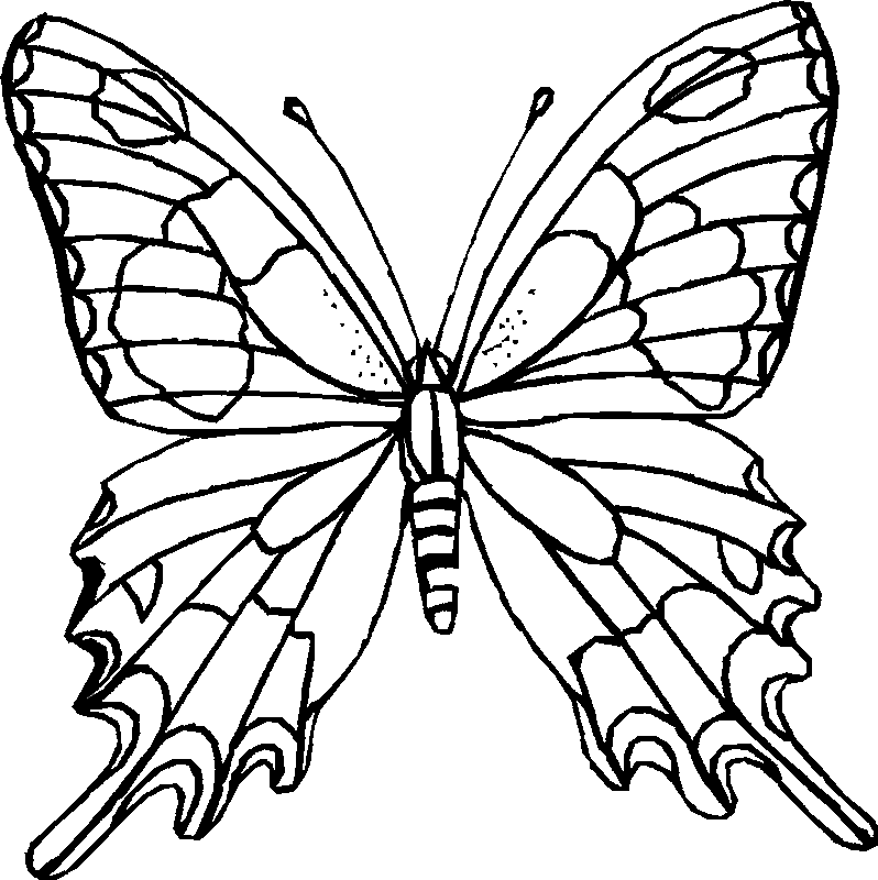 Mariposa #6257