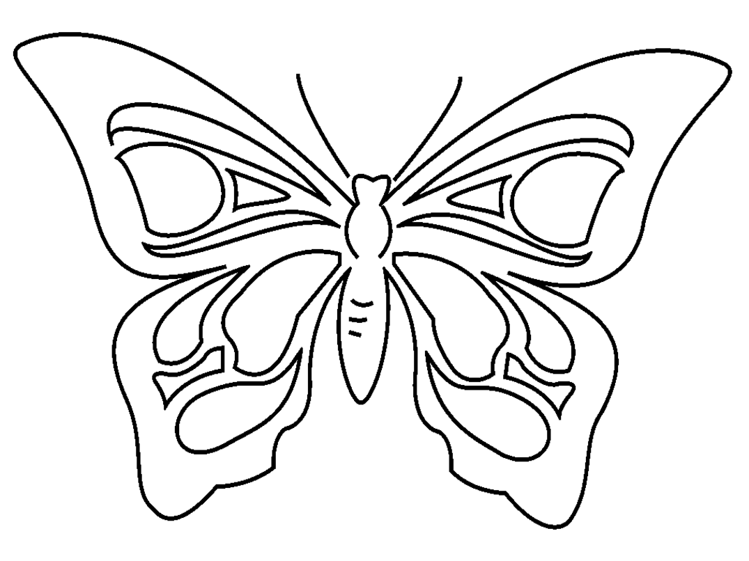 Mariposa #6259