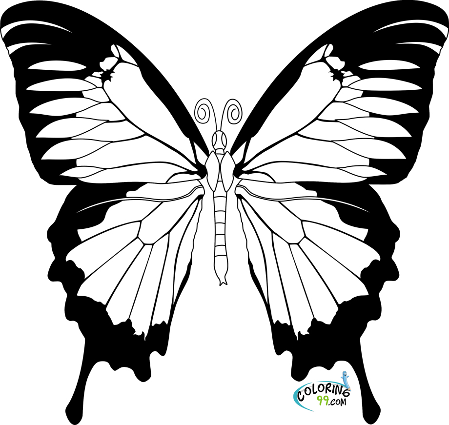 Mariposa #6262