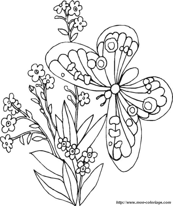 Mariposa #6263