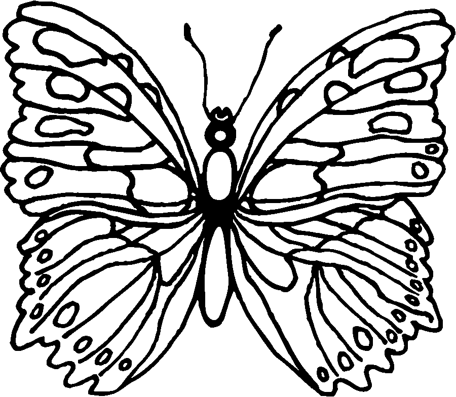 Mariposa #6268