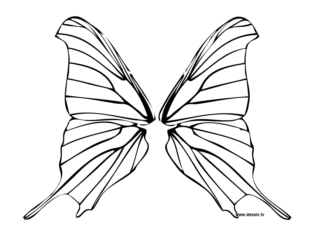 Mariposa #6269