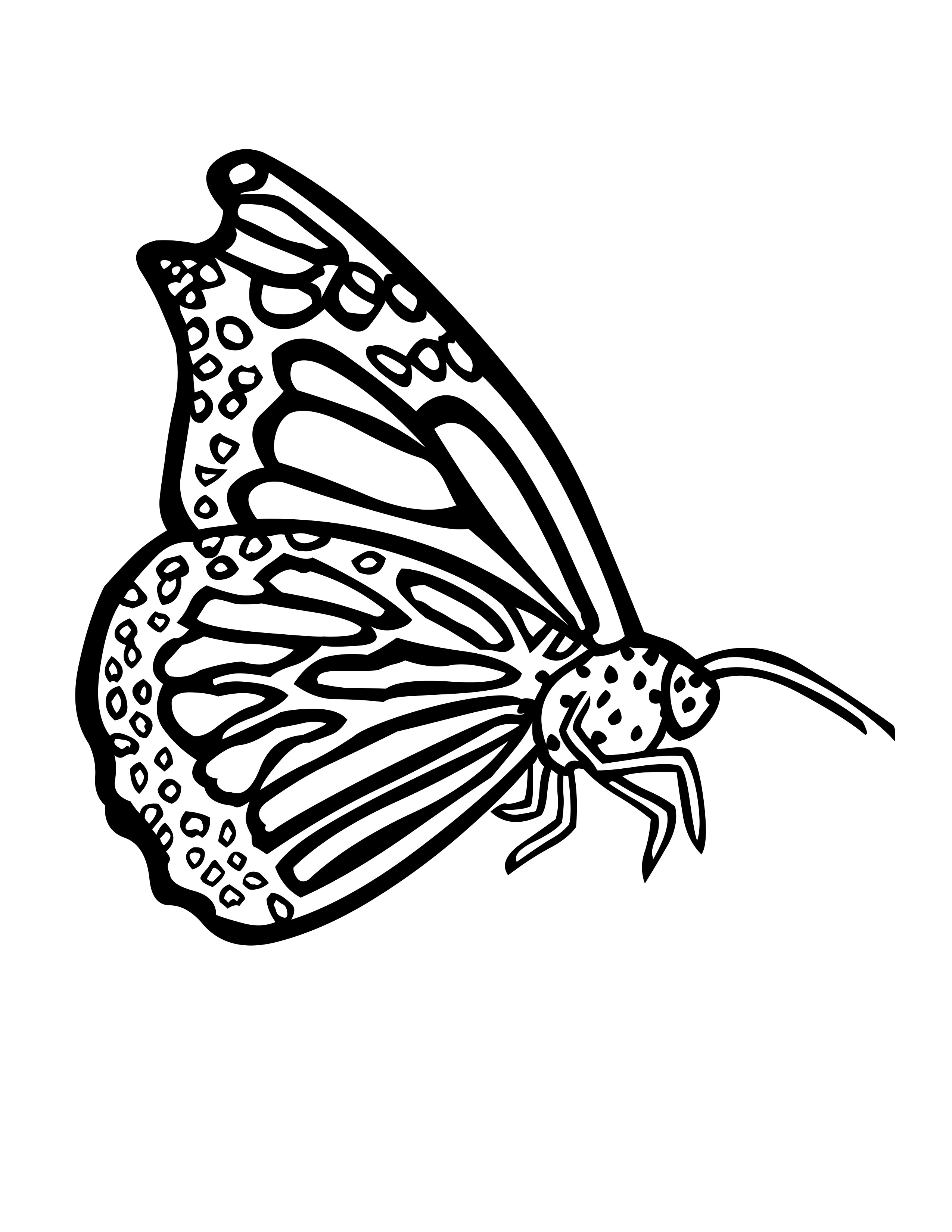Mariposa #6275