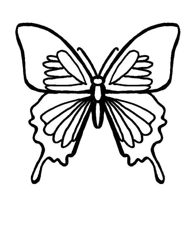Mariposa #6276