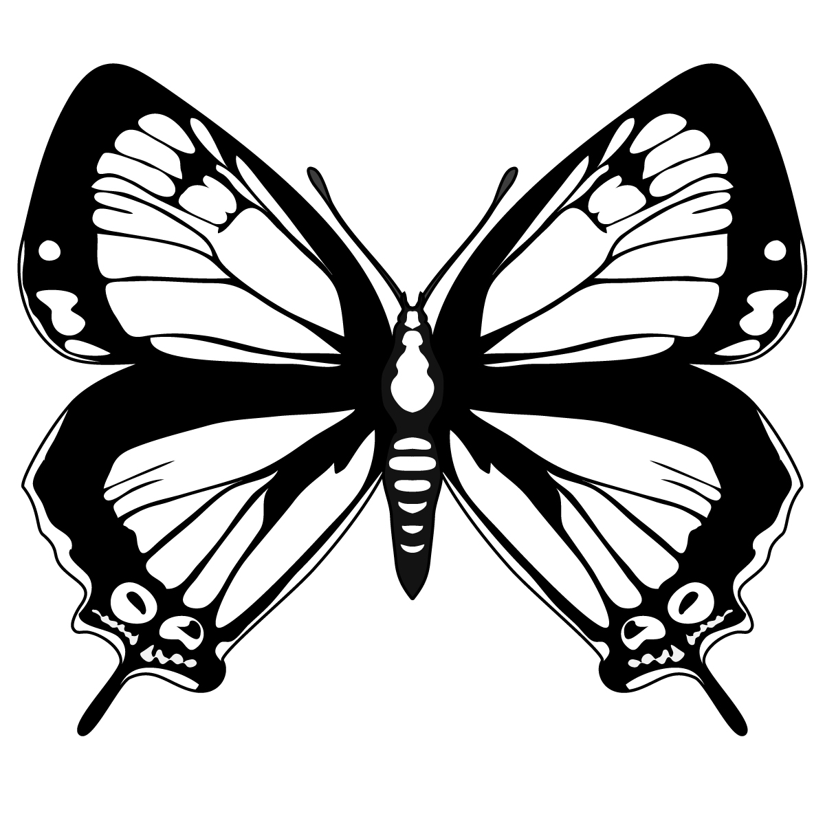 Mariposa #6278