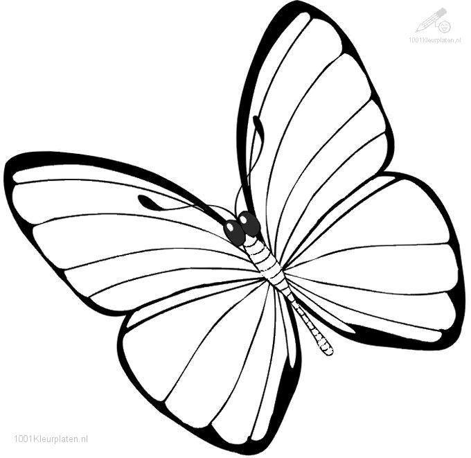 Mariposa #6280