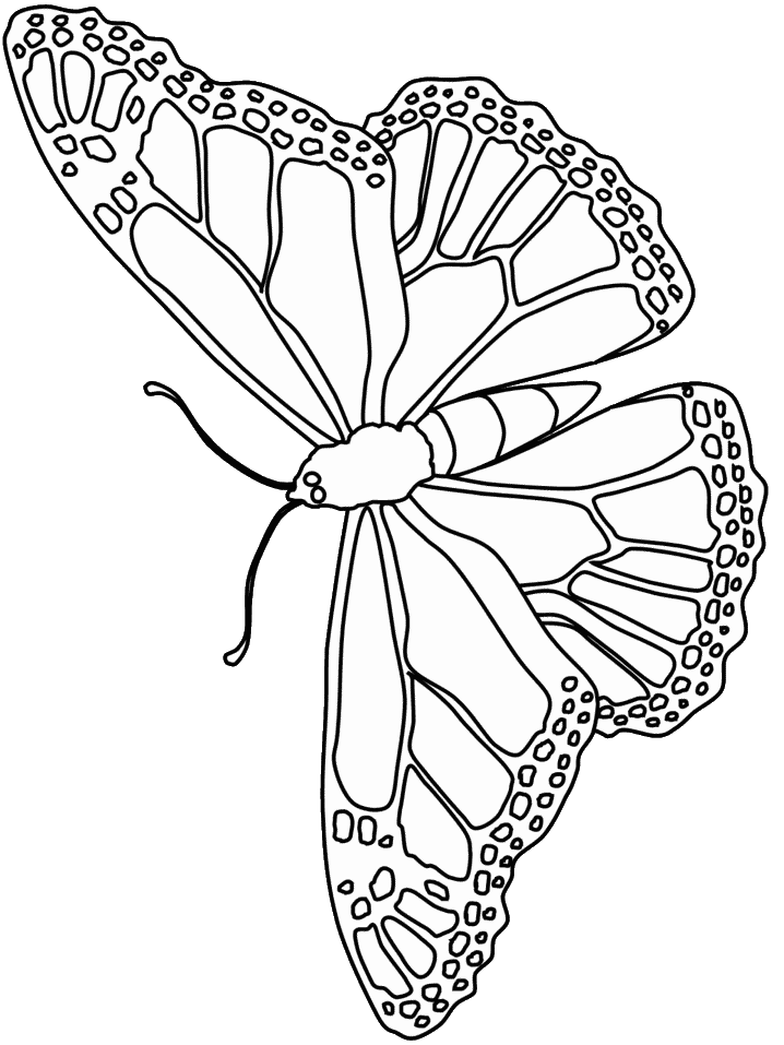 Mariposa #6283