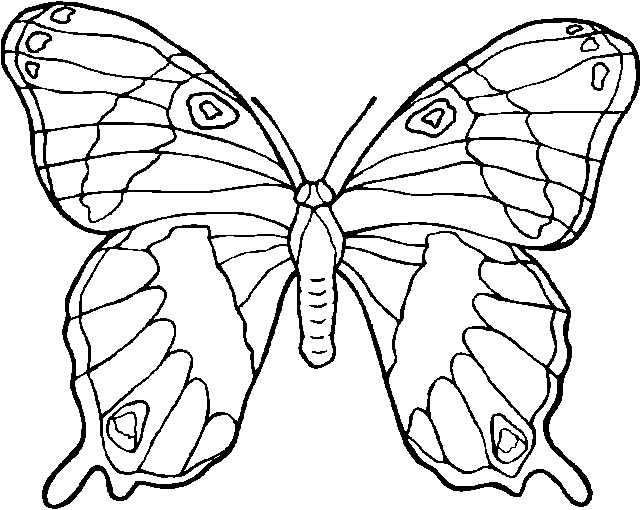 Mariposa #6284
