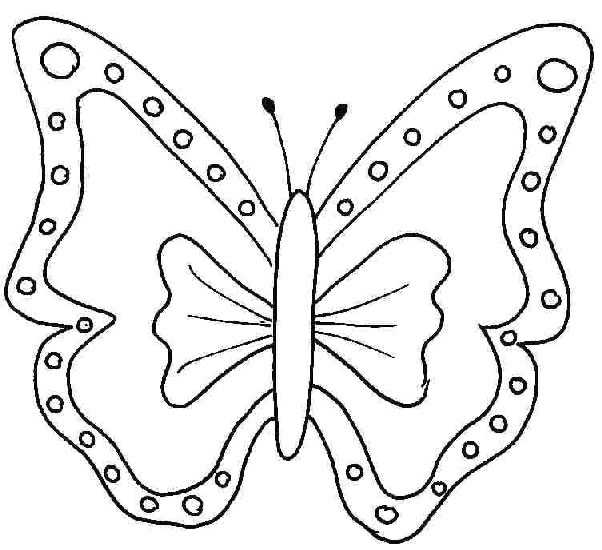 Mariposa #6288
