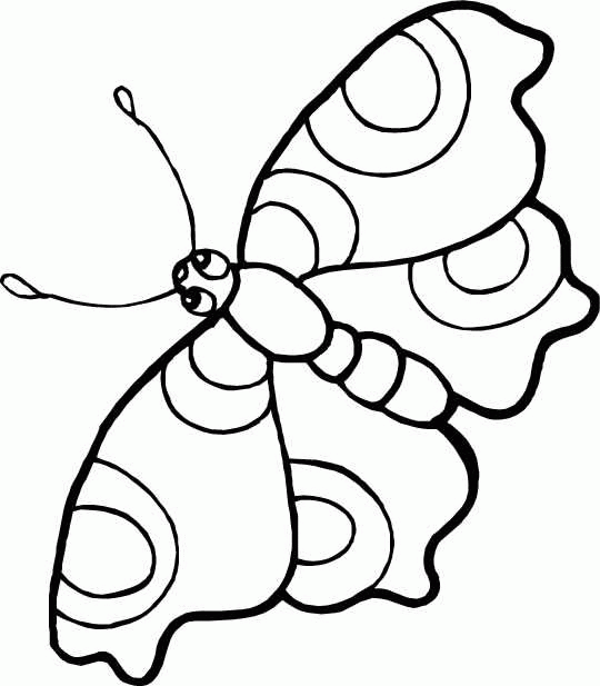 Mariposa #6290