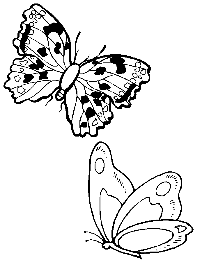 Mariposa #6292