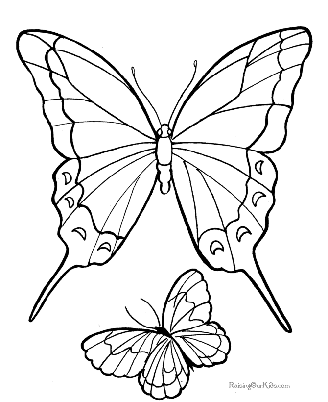 Mariposa #6294