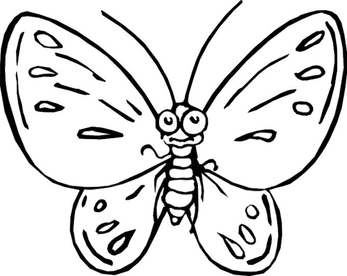 Mariposa #6301