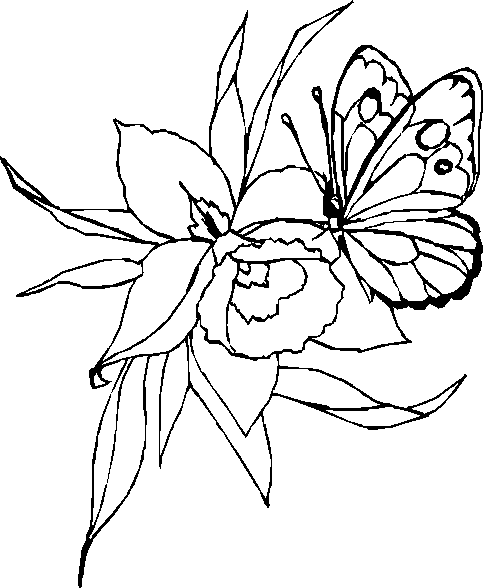 Mariposa #6306