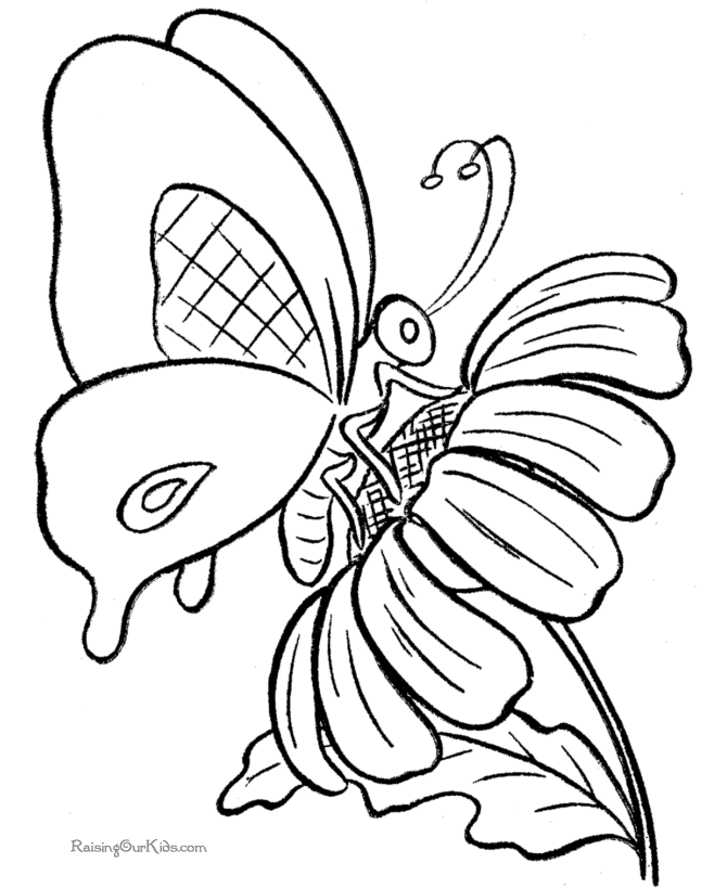 Mariposa #6312