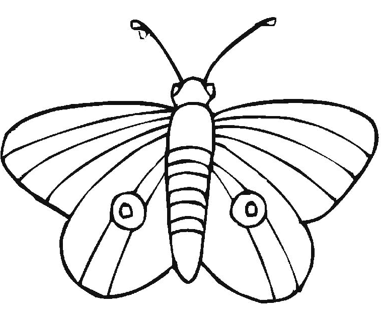 Mariposa #6314