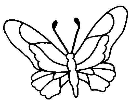 Mariposa #6318