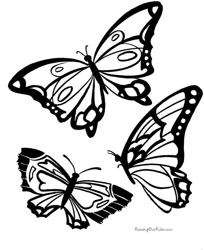 Mariposa #6319