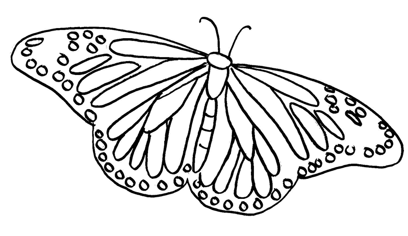 Mariposa #6321