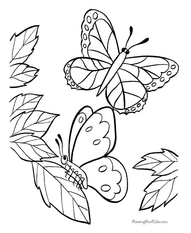 Mariposa #6326