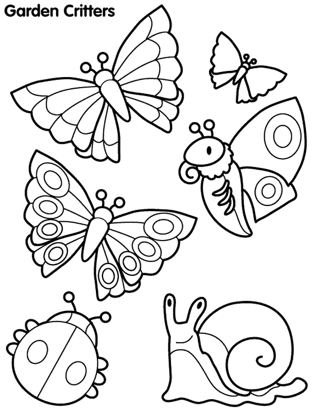 Mariposa #6327