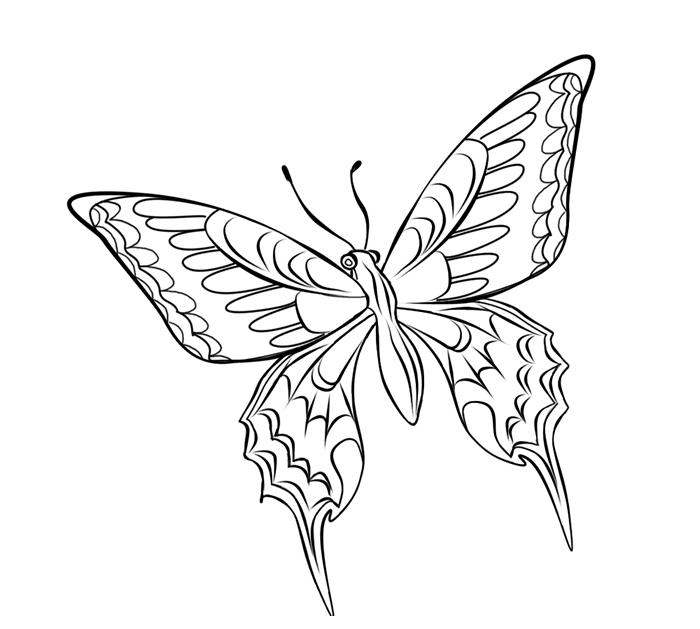 Mariposa #6332