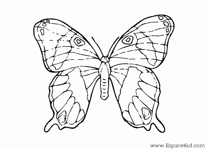 Mariposa #6333