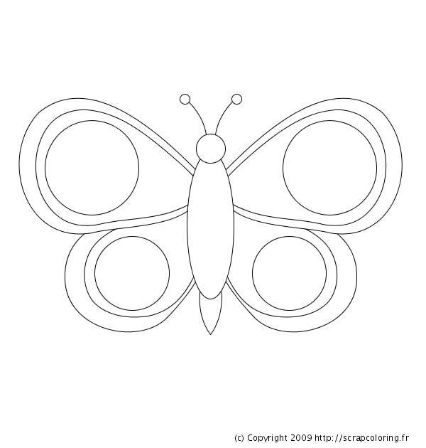 Mariposa #6338