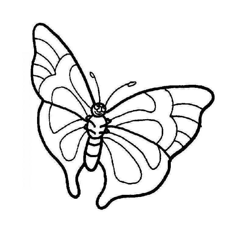 Mariposa #6342