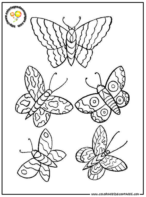 Mariposa #6344