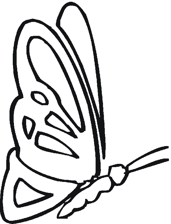 Mariposa #6349